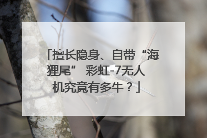 擅长隐身、自带“海狸尾” 彩虹-7无人机究竟有多牛？