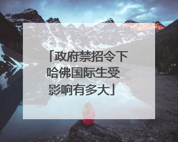 政府禁招令下 哈佛国际生受影响有多大