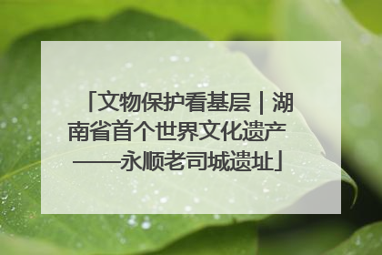 文物保护看基层｜湖南省首个世界文化遗产——永顺老司城遗址