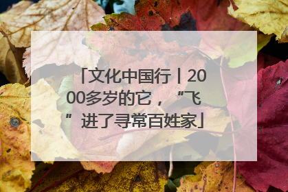 文化中国行丨2000多岁的它，“飞”进了寻常百姓家