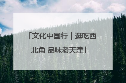 文化中国行｜逛吃西北角 品味老天津