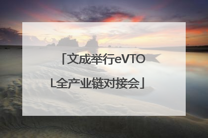 文成举行eVTOL全产业链对接会