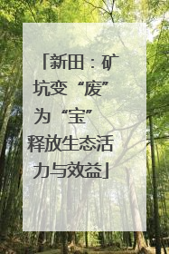 新田：矿坑变“废”为“宝” 释放生态活力与效益