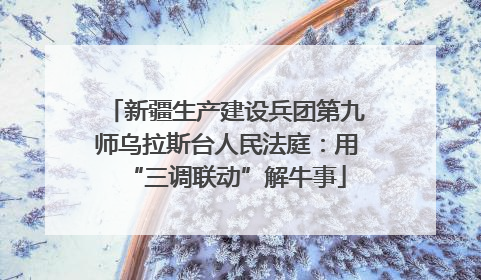 新疆生产建设兵团第九师乌拉斯台人民法庭：用“三调联动”解牛事