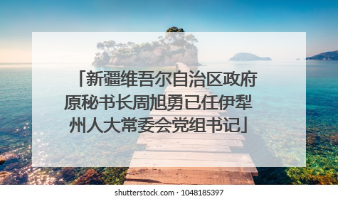 新疆维吾尔自治区政府原秘书长周旭勇已任伊犁州人大常委会党组书记