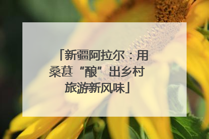 新疆阿拉尔：用桑葚“酿”出乡村旅游新风味