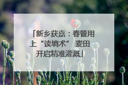 新乡获嘉：春管用上“读墒术” 麦田开启精准灌溉