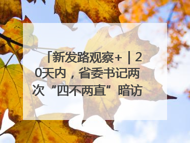 新发路观察+｜20天内，省委书记两次“四不两直”暗访，有何深意？