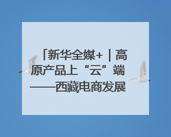 新华全媒+｜高原产品上“云”端——西藏电商发展一线观察