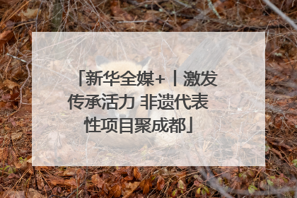 新华全媒+丨激发传承活力 非遗代表性项目聚成都