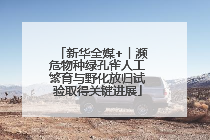新华全媒+丨濒危物种绿孔雀人工繁育与野化放归试验取得关键进展