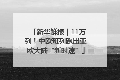 新华鲜报｜11万列！中欧班列跑出亚欧大陆“新时速”