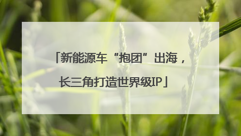 新能源车“抱团”出海，长三角打造世界级IP
