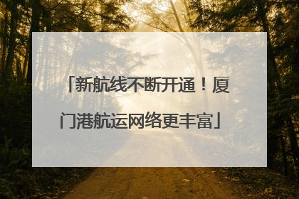 新航线不断开通！厦门港航运网络更丰富