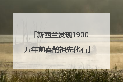 新西兰发现1900万年前喜鹊祖先化石
