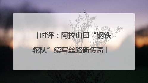 时评：阿拉山口“钢铁驼队”续写丝路新传奇