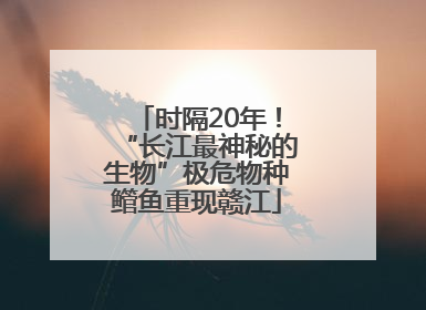 时隔20年！“长江最神秘的生物”极危物种鳤鱼重现赣江