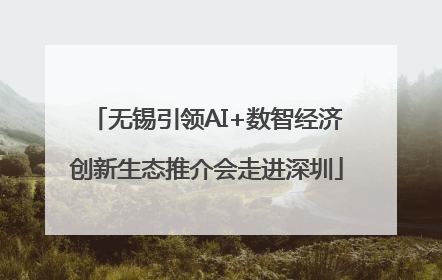 无锡引领AI+数智经济创新生态推介会走进深圳