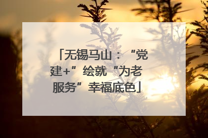 无锡马山：“党建+”绘就“为老服务”幸福底色