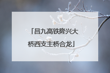 昌九高铁隆兴大桥西支主桥合龙