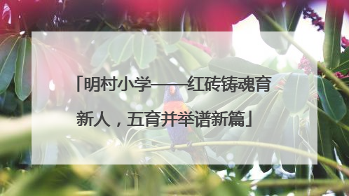 明村小学——红砖铸魂育新人，五育并举谱新篇
