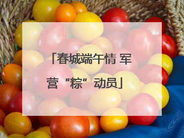 春城端午情 军营“粽”动员