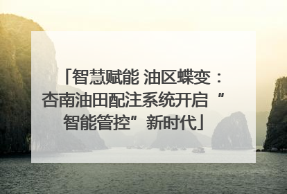 智慧赋能 油区蝶变：杏南油田配注系统开启“智能管控”新时代