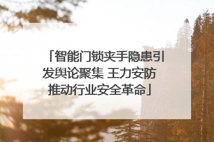 智能门锁夹手隐患引发舆论聚集 王力安防推动行业安全革命