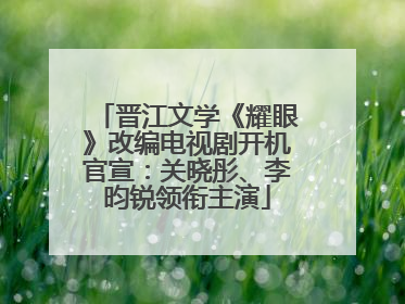 晋江文学《耀眼》改编电视剧开机官宣：关晓彤、李昀锐领衔主演