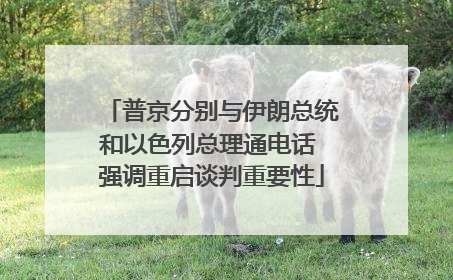 普京分别与伊朗总统和以色列总理通电话 强调重启谈判重要性