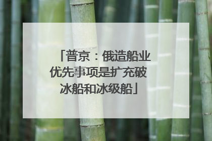 普京：俄造船业优先事项是扩充破冰船和冰级船