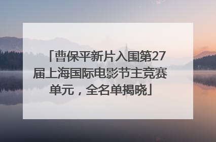 曹保平新片入围第27届上海国际电影节主竞赛单元，全名单揭晓