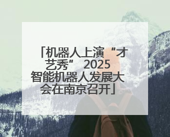 机器人上演“才艺秀” 2025智能机器人发展大会在南京召开
