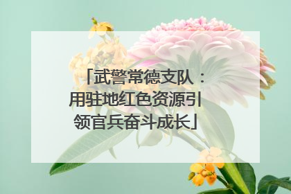 武警常德支队：用驻地红色资源引领官兵奋斗成长