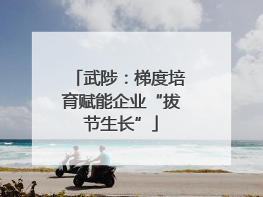 武陟：梯度培育赋能企业“拔节生长”