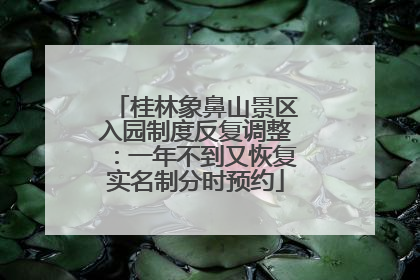 桂林象鼻山景区入园制度反复调整：一年不到又恢复实名制分时预约