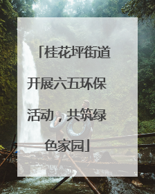 桂花坪街道开展六五环保活动，共筑绿色家园