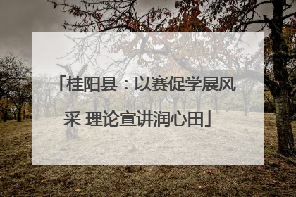 桂阳县：以赛促学展风采 理论宣讲润心田