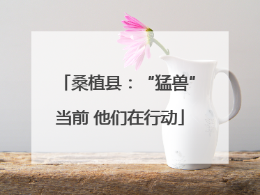桑植县：“猛兽”当前 他们在行动