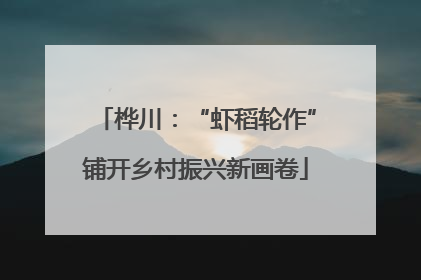桦川：“虾稻轮作”铺开乡村振兴新画卷
