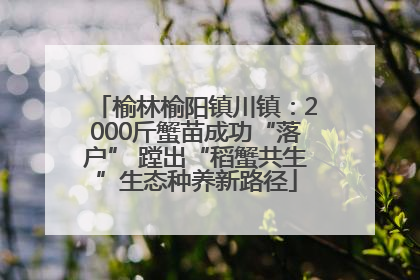 榆林榆阳镇川镇：2000斤蟹苗成功“落户” 蹚出“稻蟹共生”生态种养新路径