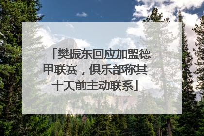 樊振东回应加盟德甲联赛，俱乐部称其十天前主动联系