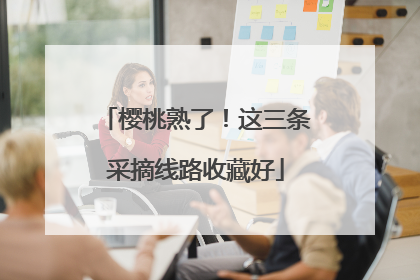 樱桃熟了！这三条采摘线路收藏好