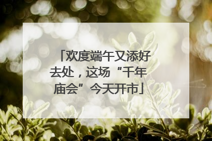 欢度端午又添好去处，这场“千年庙会”今天开市