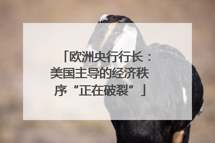 欧洲央行行长：美国主导的经济秩序“正在破裂”