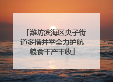潍坊滨海区央子街道多措并举全力护航粮食丰产丰收