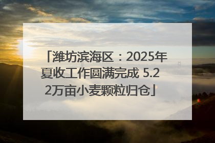 潍坊滨海区：2025年夏收工作圆满完成 5.22万亩小麦颗粒归仓