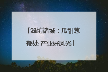 潍坊诸城：瓜甜葱郁处 产业好风光
