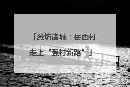 潍坊诸城：岳西村走上“强村新路”