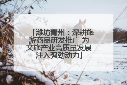 潍坊青州：深耕旅游商品研发推广 为文旅产业高质量发展注入强劲动力